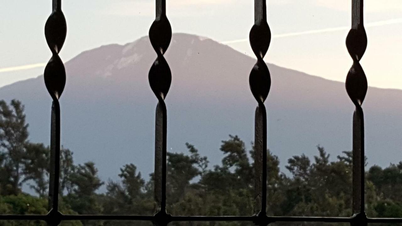 Kilimanjaro Country House 莫希 外观 照片