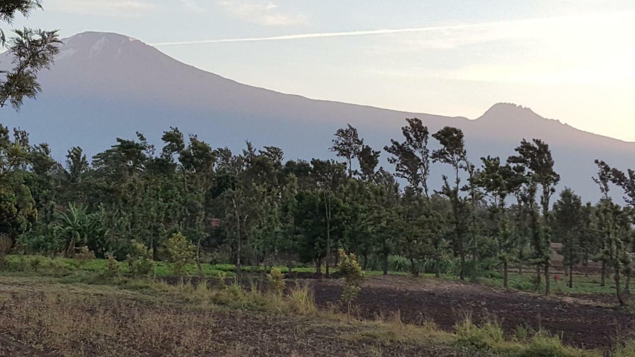 Kilimanjaro Country House 莫希 外观 照片