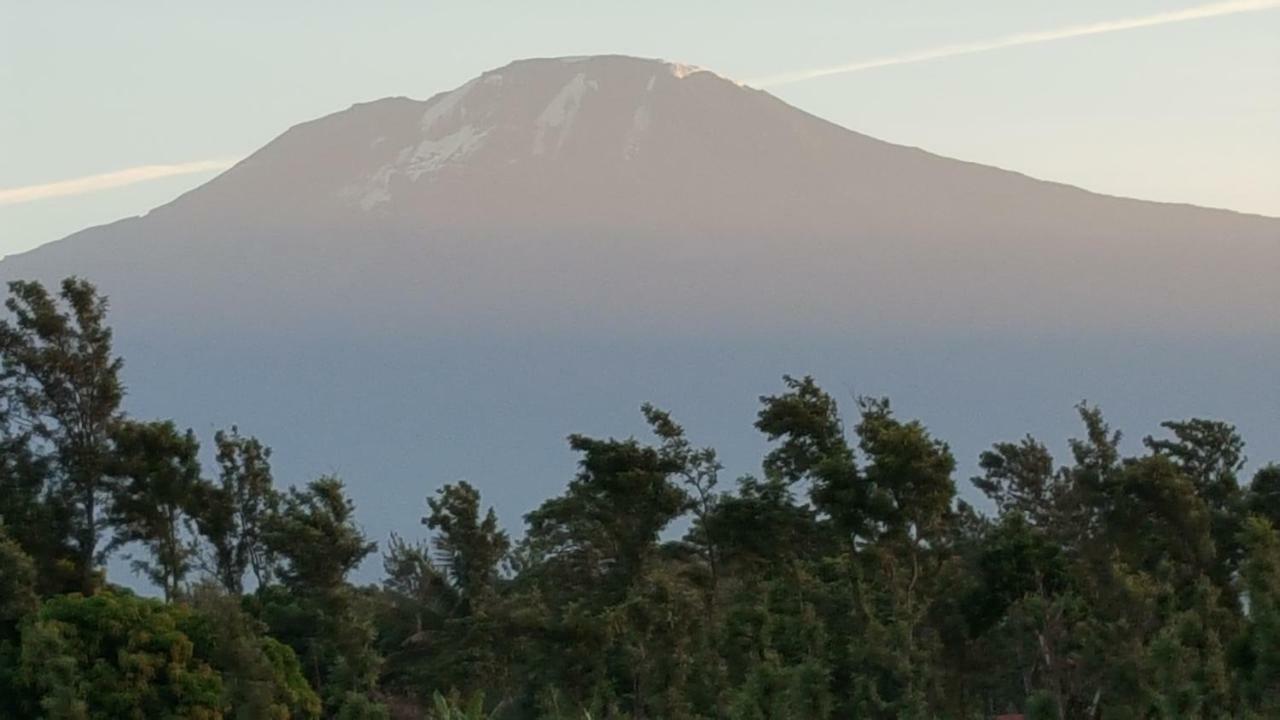 Kilimanjaro Country House 莫希 外观 照片
